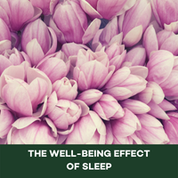 Phytomed Blog Square well-being effect of sleep